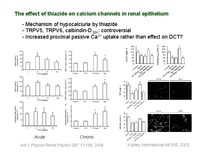 The effect of thiazide on calcium channels in renal epithelium - Mechanism of hypocalciuria