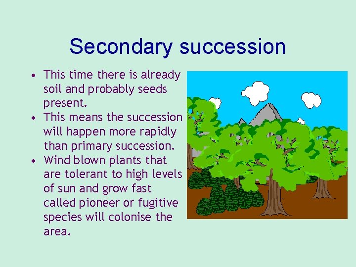 Secondary succession • This time there is already soil and probably seeds present. •