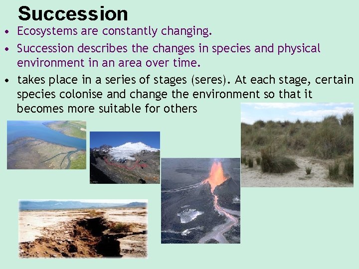 Succession • Ecosystems are constantly changing. • Succession describes the changes in species and