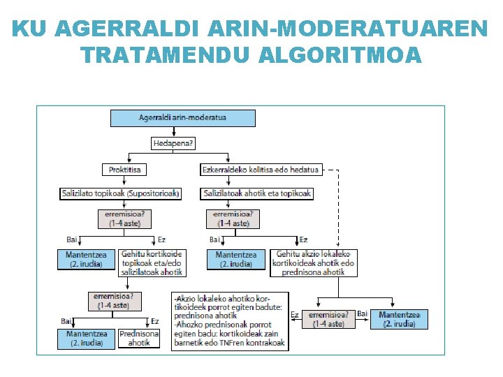 KU AGERRALDI ARIN-MODERATUAREN TRATAMENDU ALGORITMOA 