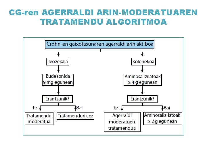 CG-ren AGERRALDI ARIN-MODERATUAREN TRATAMENDU ALGORITMOA 