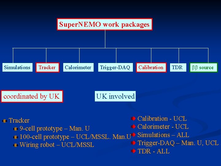 Super. NEMO work packages Simulations Tracker coordinated by UK Calorimeter Trigger-DAQ Calibration TDR bb
