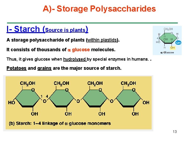 A)- Storage Polysaccharides I- Starch (Source is plants) A storage polysaccharide of plants (within