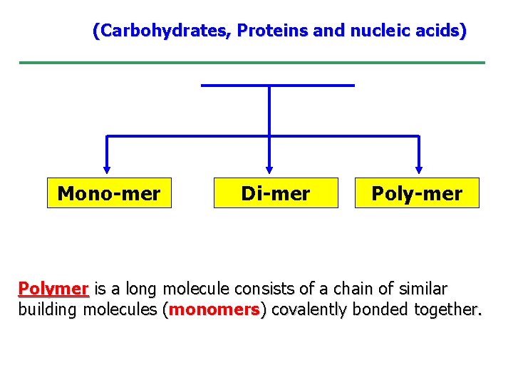 (Carbohydrates, Proteins and nucleic acids) Mono-mer Di-mer Polymer is a long molecule consists of