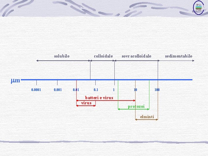 solubile colloidale sovracolloidale sedimentabile mm 0. 0001 0. 1 batteri e virus 1 10