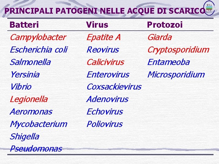 PRINCIPALI PATOGENI NELLE ACQUE DI SCARICO Batteri Virus Protozoi Campylobacter Escherichia coli Salmonella Yersinia