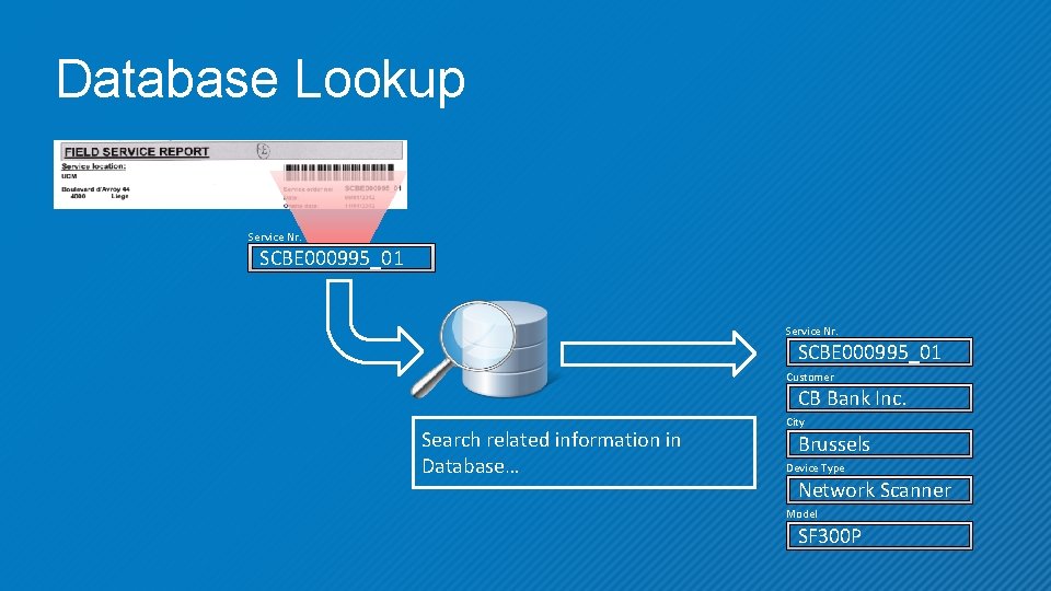 Database Lookup Service Nr. SCBE 000995_01 Customer CB Bank Inc. Search related information in