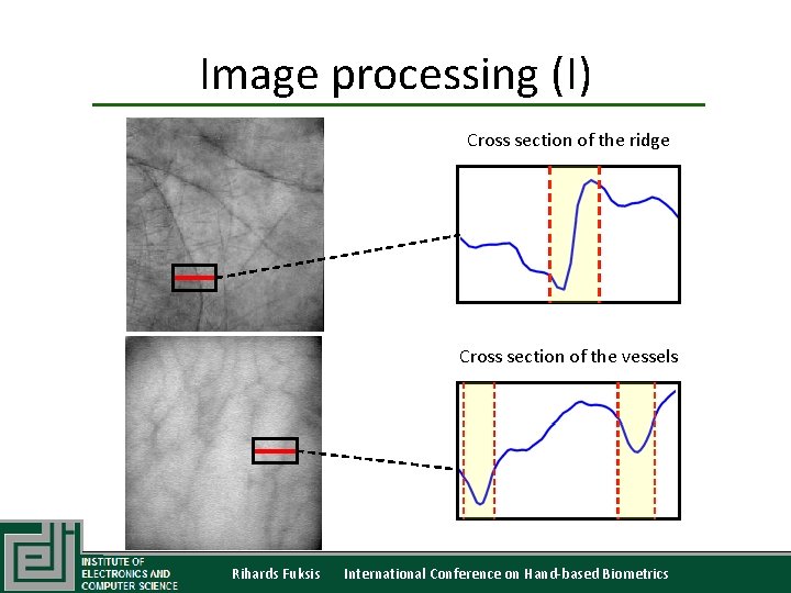 Image processing (I) Cross section of the ridge Cross section of the vessels Rihards