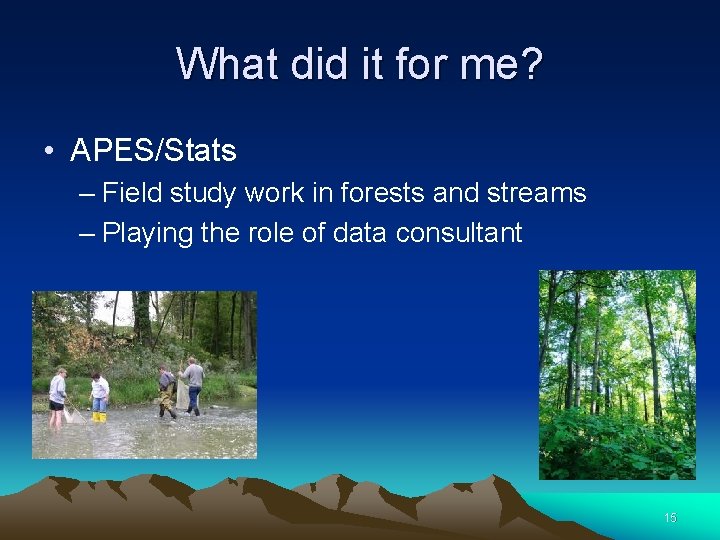 What did it for me? • APES/Stats – Field study work in forests and