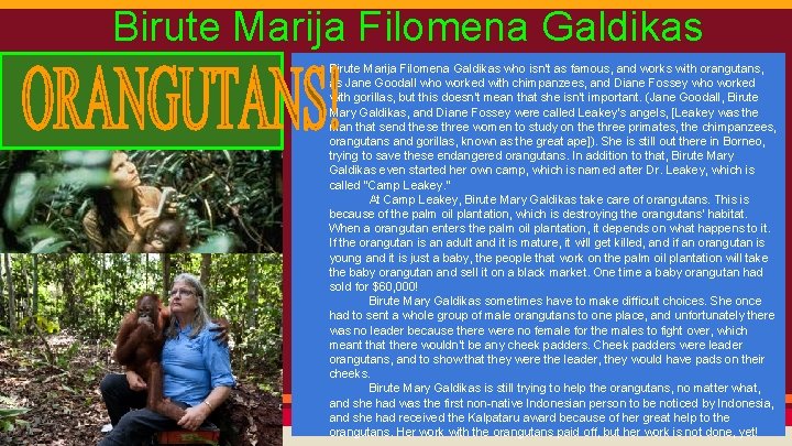 Birute Marija Filomena Galdikas who isn’t as famous, and works with orangutans, as Jane