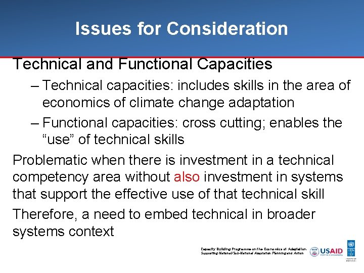Issues for Consideration Technical and Functional Capacities – Technical capacities: includes skills in the