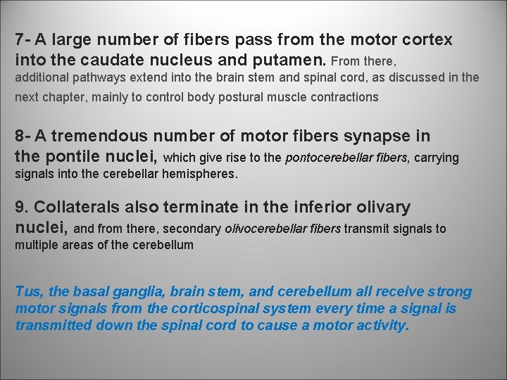7 A large number of fibers pass from the motor cortex into the caudate