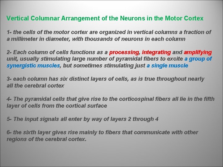 Vertical Columnar Arrangement of the Neurons in the Motor Cortex 1 - the cells