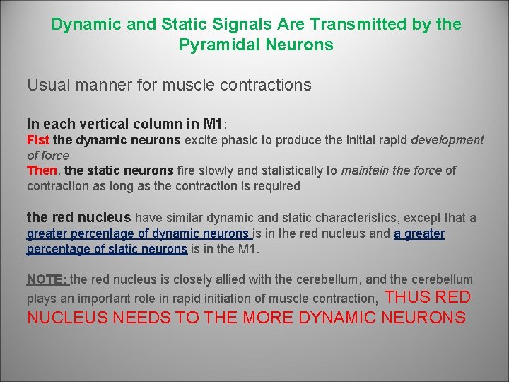 Dynamic and Static Signals Are Transmitted by the Pyramidal Neurons Usual manner for muscle