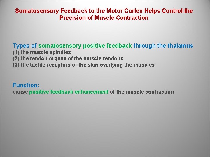 Somatosensory Feedback to the Motor Cortex Helps Control the Precision of Muscle Contraction Types
