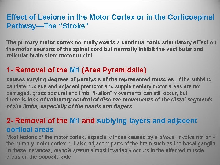 Effect of Lesions in the Motor Cortex or in the Corticospinal Pathway—The “Stroke” The