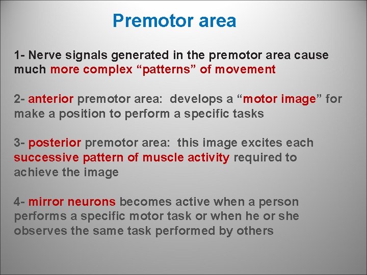 Premotor area 1 Nerve signals generated in the premotor area cause much more complex