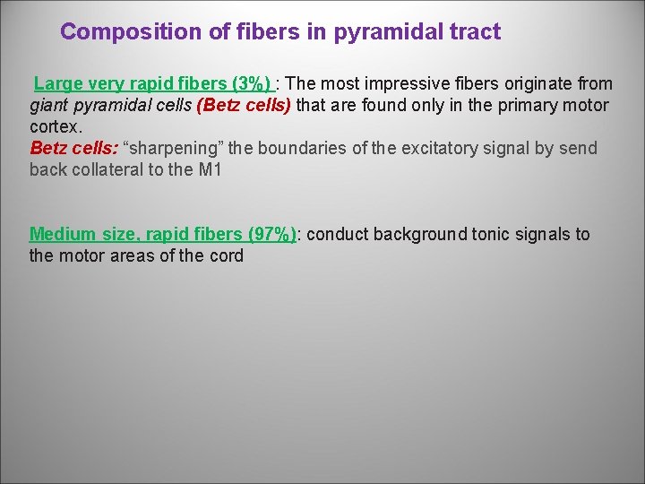 Composition of fibers in pyramidal tract Large very rapid fibers (3%) : The most