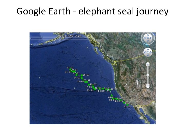 Google Earth - elephant seal journey 