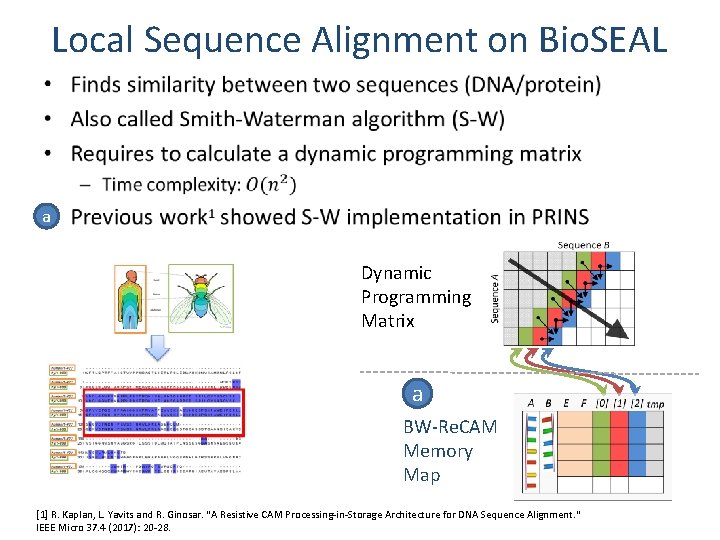Local Sequence Alignment on Bio. SEAL • a Dynamic Programming Matrix a BW-Re. CAM