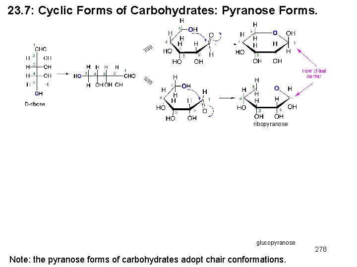 23. 7: Cyclic Forms of Carbohydrates: Pyranose Forms. ribopyranose glucopyranose Note: the pyranose forms