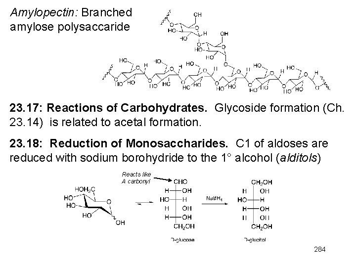 Amylopectin: Branched amylose polysaccaride 23. 17: Reactions of Carbohydrates. Glycoside formation (Ch. 23. 14)
