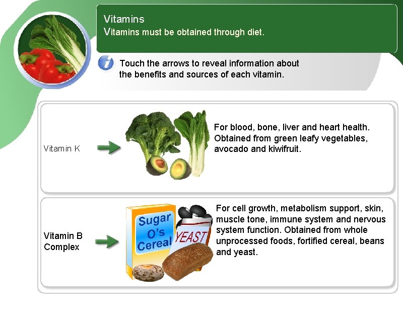 Vitamins must be obtained through diet Vitamins allow