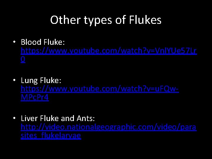 Other types of Flukes • Blood Fluke: https: //www. youtube. com/watch? v=Vnl. YUe 57