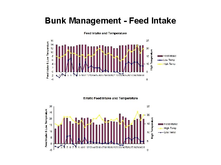 Bunk Management - Feed Intake 