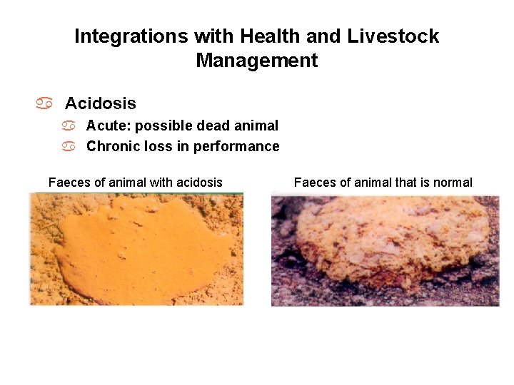 Integrations with Health and Livestock Management a Acidosis a Acute: possible dead animal a