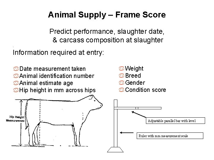 Animal Supply – Frame Score Predict performance, slaughter date, & carcass composition at slaughter.