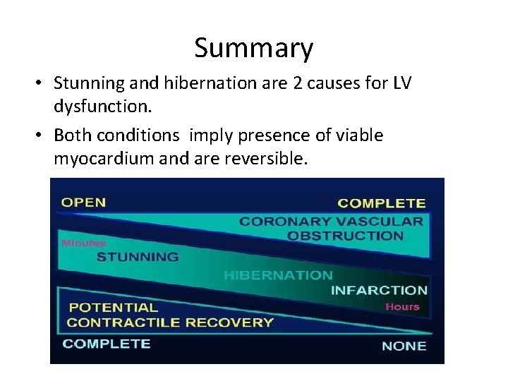 Summary • Stunning and hibernation are 2 causes for LV dysfunction. • Both conditions
