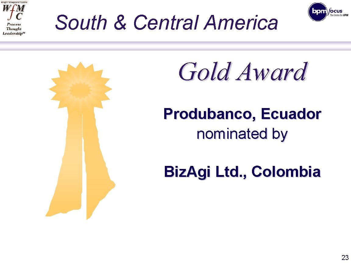 South & Central America Gold Award Produbanco, Ecuador nominated by Biz. Agi Ltd. ,