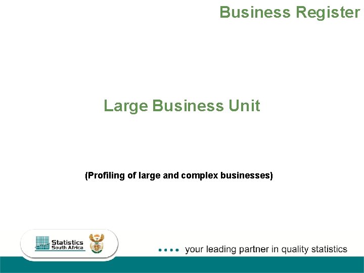Business Register Large Business Unit (Profiling of large and complex businesses) 19 
