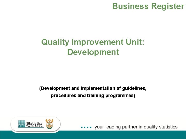 Business Register Quality Improvement Unit: Development (Development and implementation of guidelines, procedures and training