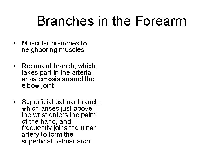 Branches in the Forearm • Muscular branches to neighboring muscles • Recurrent branch, which