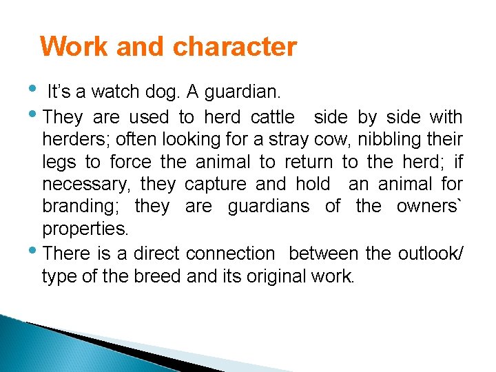 Work and character • It’s a watch dog. A guardian. • They are used