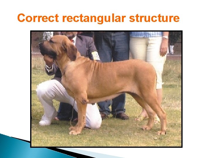 Correctangular structure 