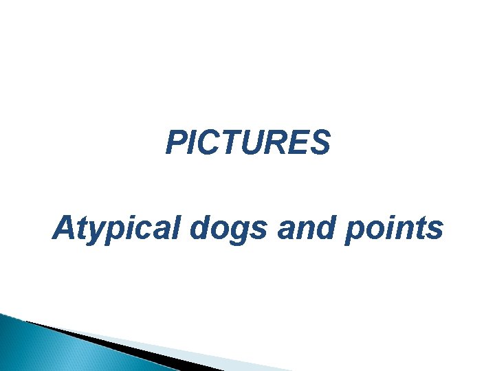 PICTURES Atypical dogs and points 