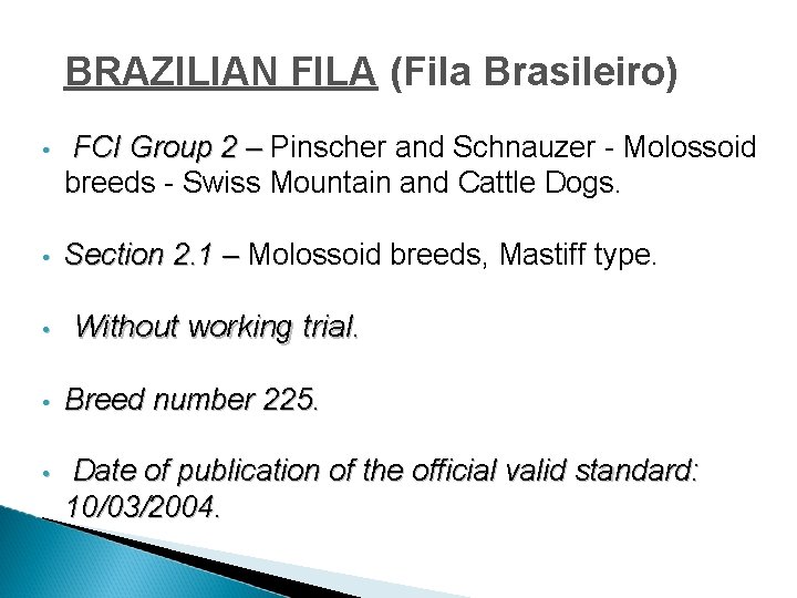 BRAZILIAN FILA (Fila Brasileiro) • FCI Group 2 – Pinscher and Schnauzer - Molossoid