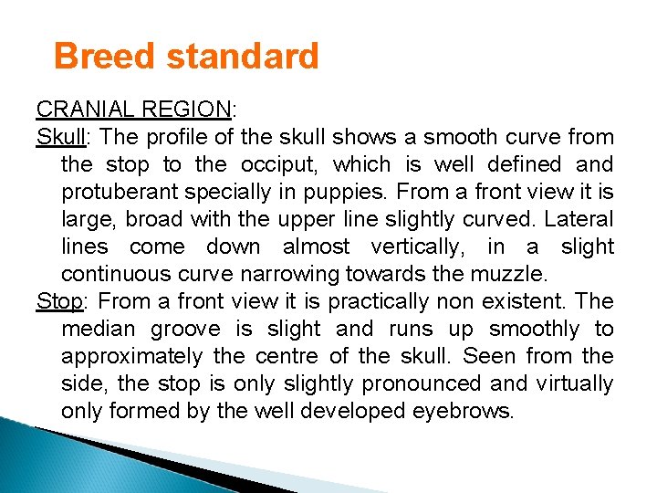 Breed standard CRANIAL REGION: Skull: The profile of the skull shows a smooth curve