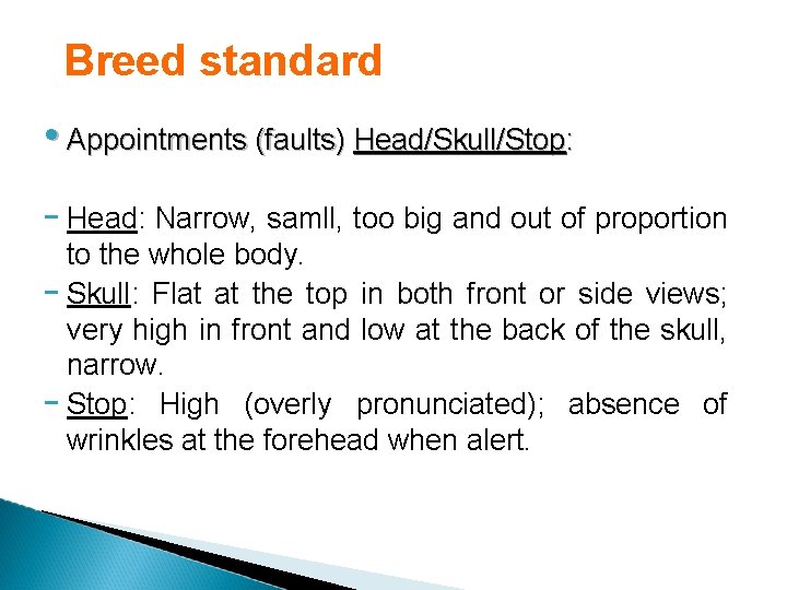 Breed standard • Appointments (faults) Head/Skull/Stop: - Head: Narrow, samll, too big and out