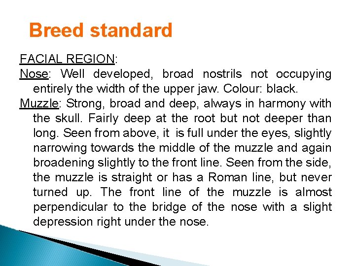 Breed standard FACIAL REGION: Nose: Well developed, broad nostrils not occupying entirely the width