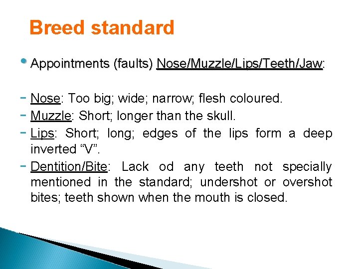 Breed standard • Appointments (faults) Nose/Muzzle/Lips/Teeth/Jaw: - Nose: Too big; wide; narrow; flesh coloured.