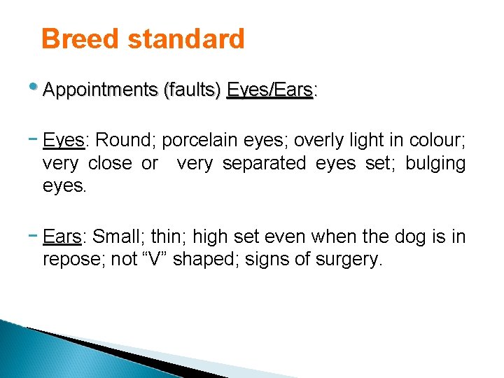 Breed standard • Appointments (faults) Eyes/Ears: - Eyes: Round; porcelain eyes; overly light in