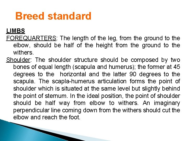 Breed standard LIMBS FOREQUARTERS: The length of the leg, from the ground to the