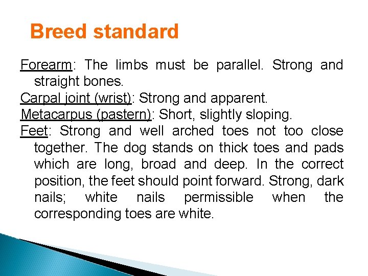 Breed standard Forearm: The limbs must be parallel. Strong and straight bones. Carpal joint