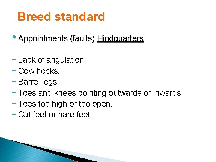 Breed standard • Appointments (faults) Hindquarters: - Lack of angulation. - Cow hocks. -