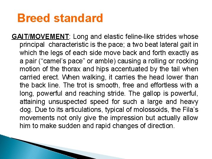 Breed standard GAIT/MOVEMENT: Long and elastic feline-like strides whose principal characteristic is the pace;