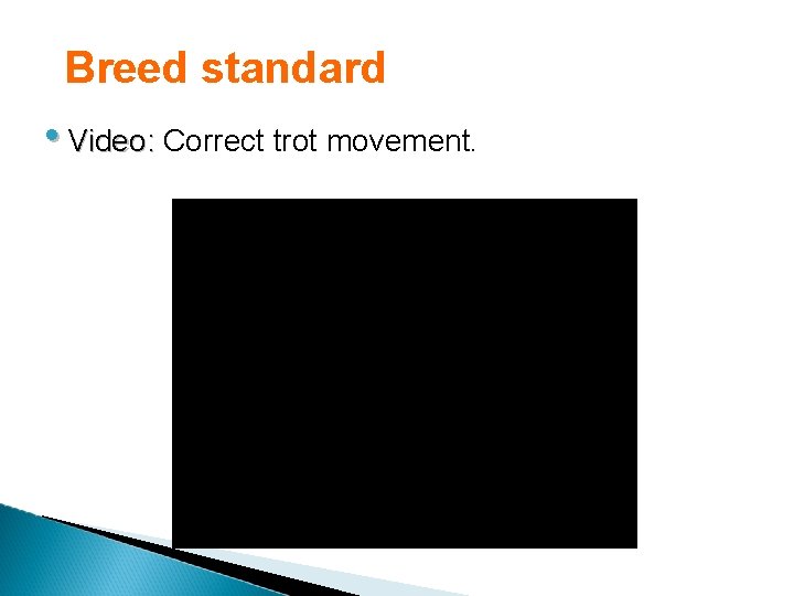 Breed standard • Video: Correct trot movement. 